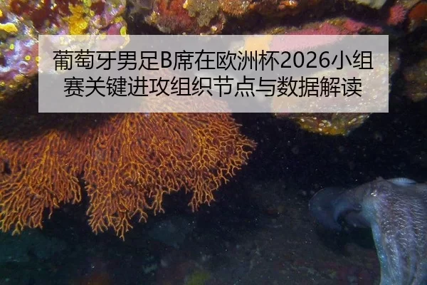 葡萄牙男足B席在欧洲杯2026小组赛关键进攻组织节点与数据解读